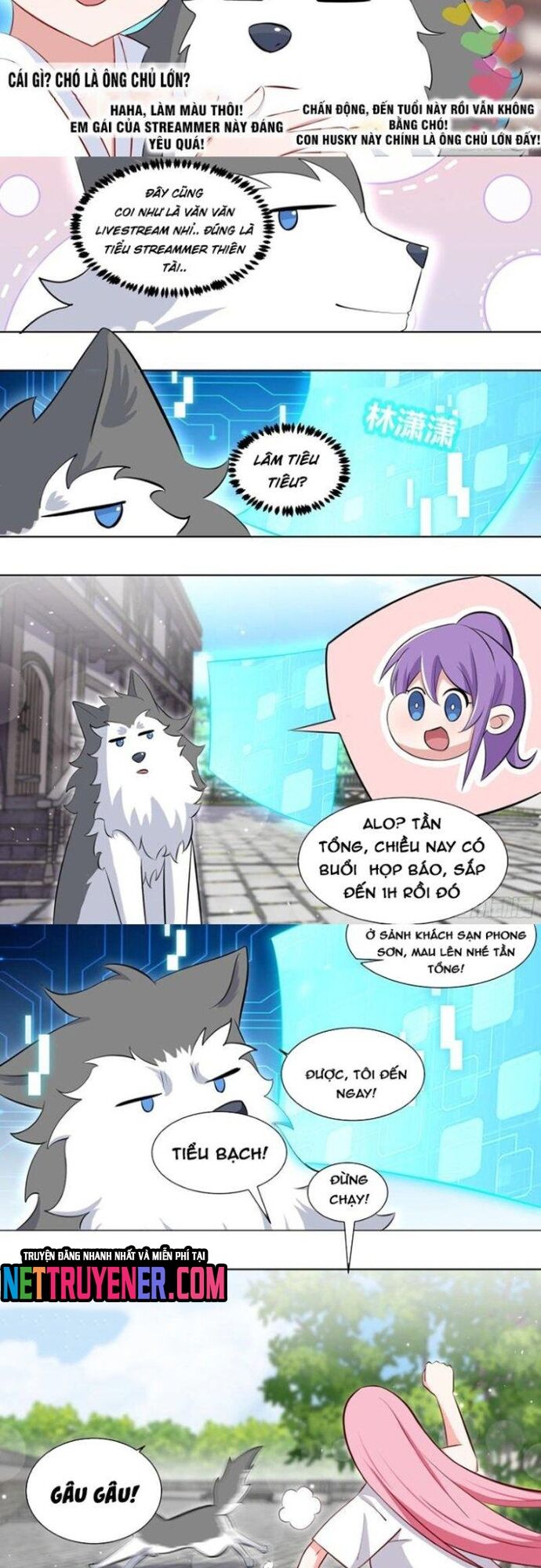 Trọng Sinh Thành Chó Của Nữ Thần - Chapter 216 - Page 3