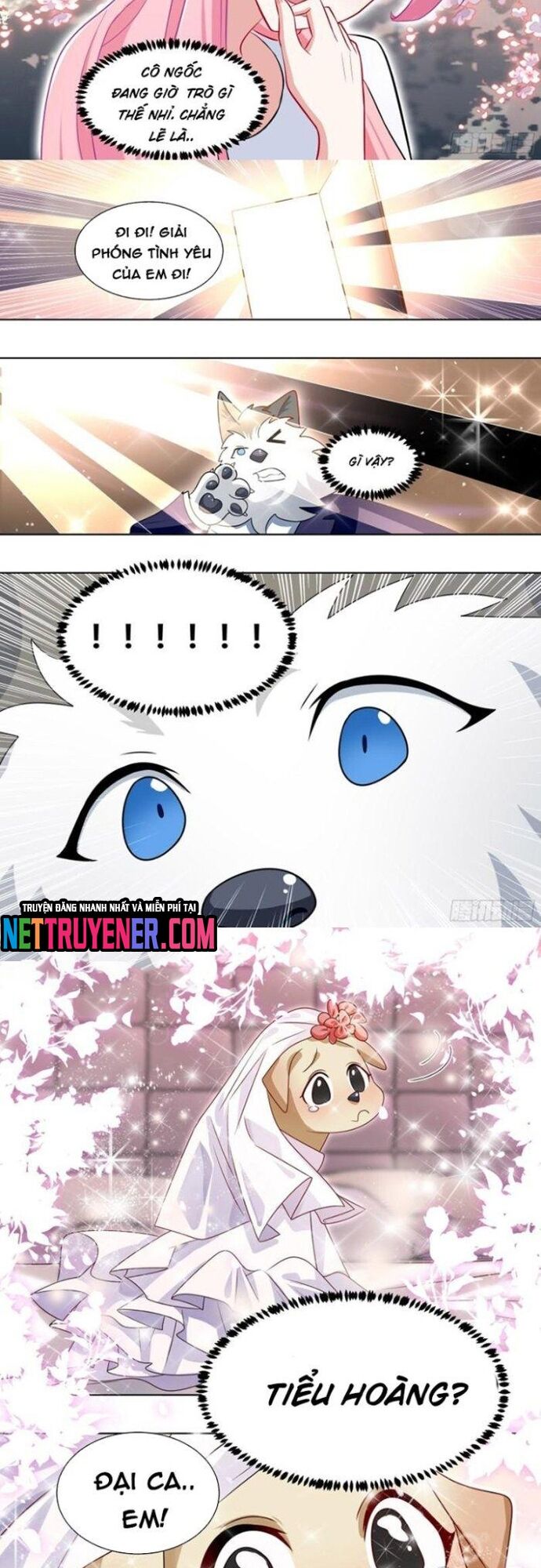 Trọng Sinh Thành Chó Của Nữ Thần - Chapter 219 - Page 3