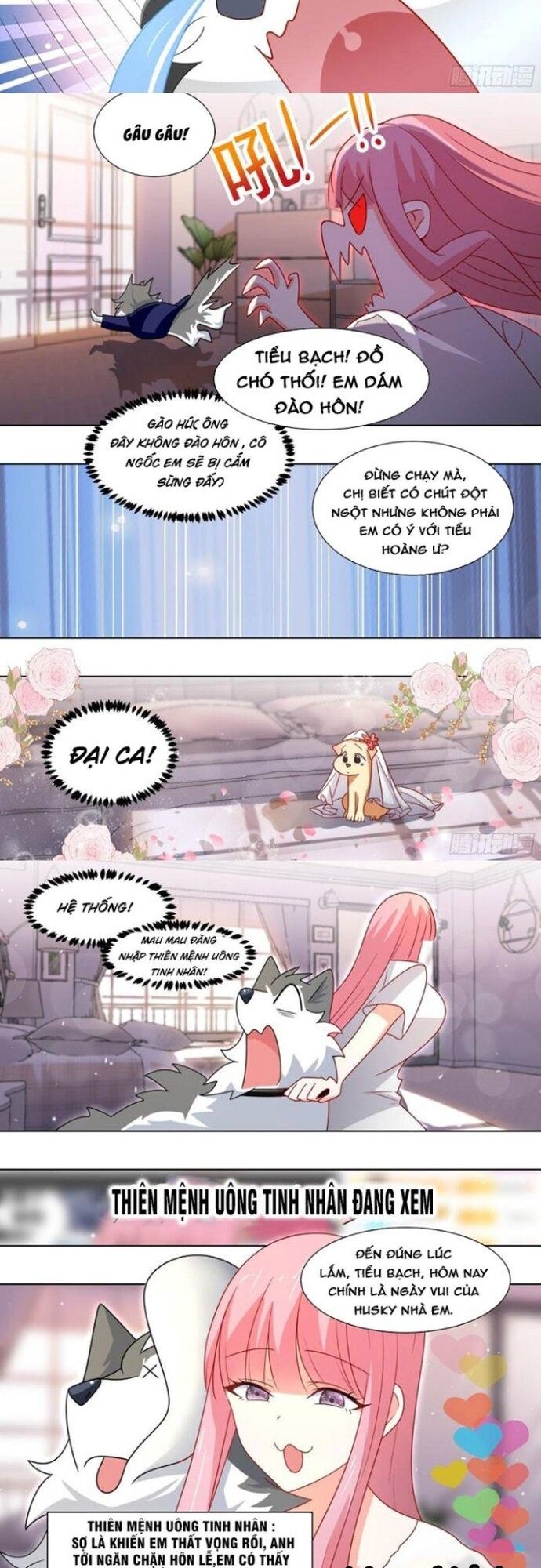 Trọng Sinh Thành Chó Của Nữ Thần - Chapter 219 - Page 5