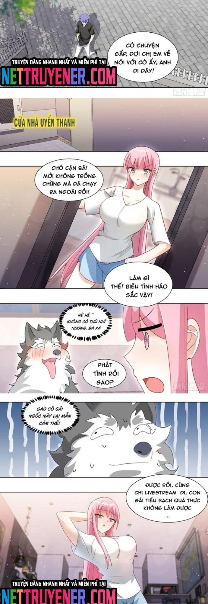 Trọng Sinh Thành Chó Của Nữ Thần - Chapter 231 - Page 3