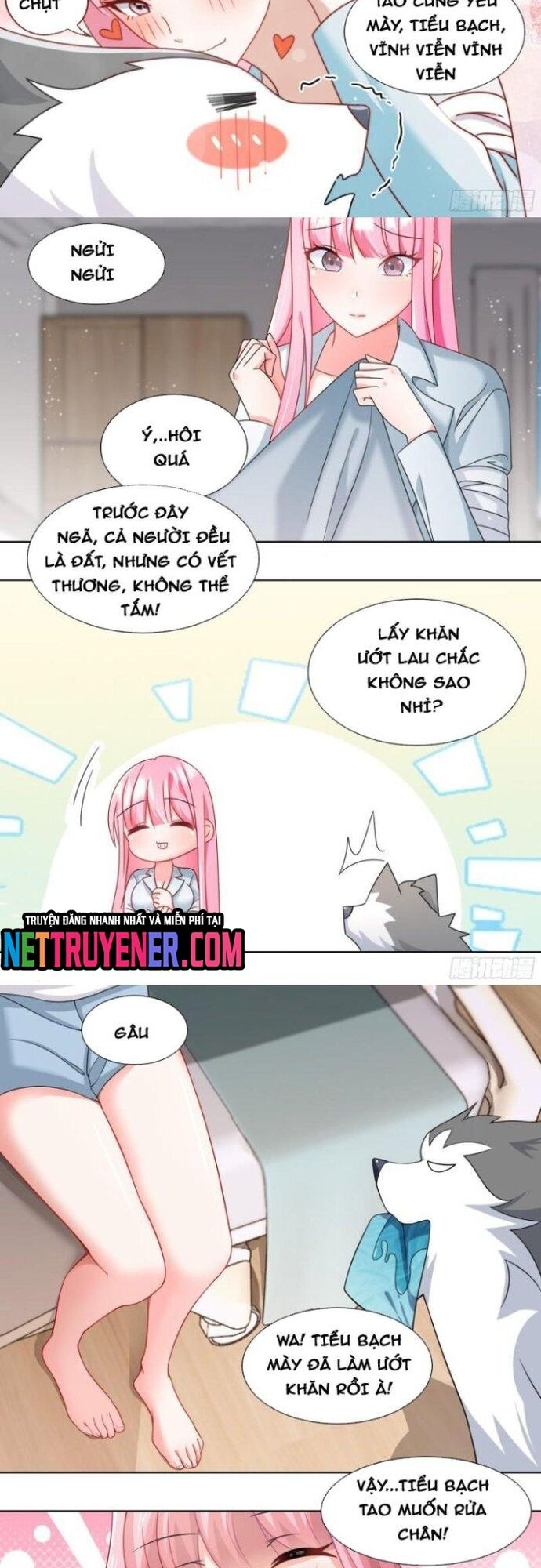 Trọng Sinh Thành Chó Của Nữ Thần - Chapter 241 - Page 3