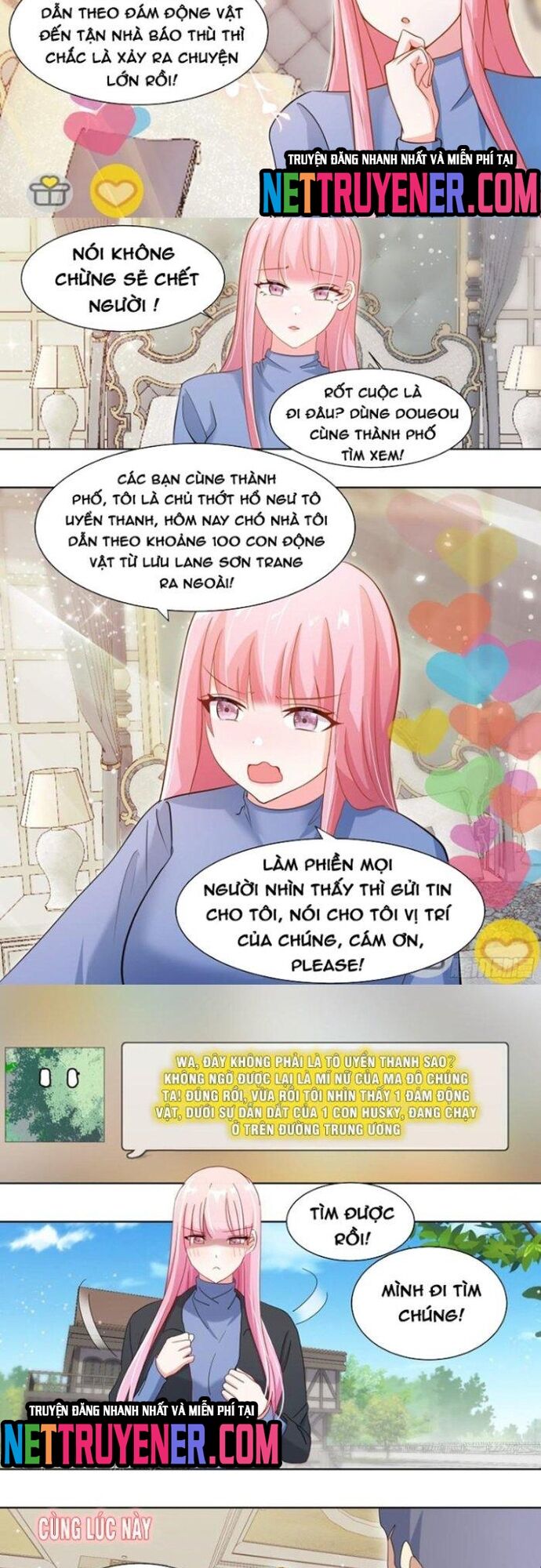 Trọng Sinh Thành Chó Của Nữ Thần - Chapter 258 - Page 4