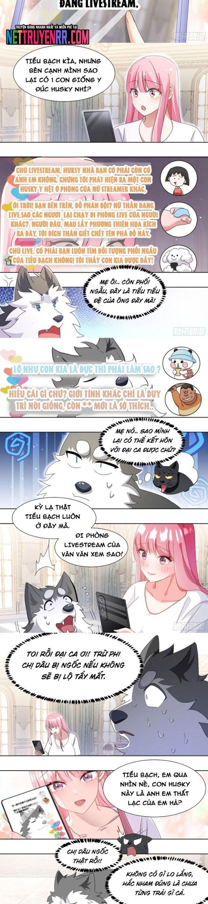 Trọng Sinh Thành Chó Của Nữ Thần - Chapter 269 - Page 3