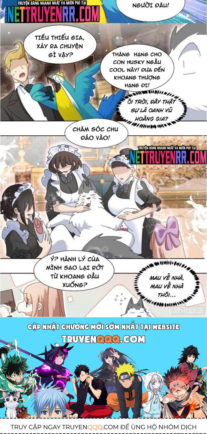 Trọng Sinh Thành Chó Của Nữ Thần - Chapter 279 - Page 4