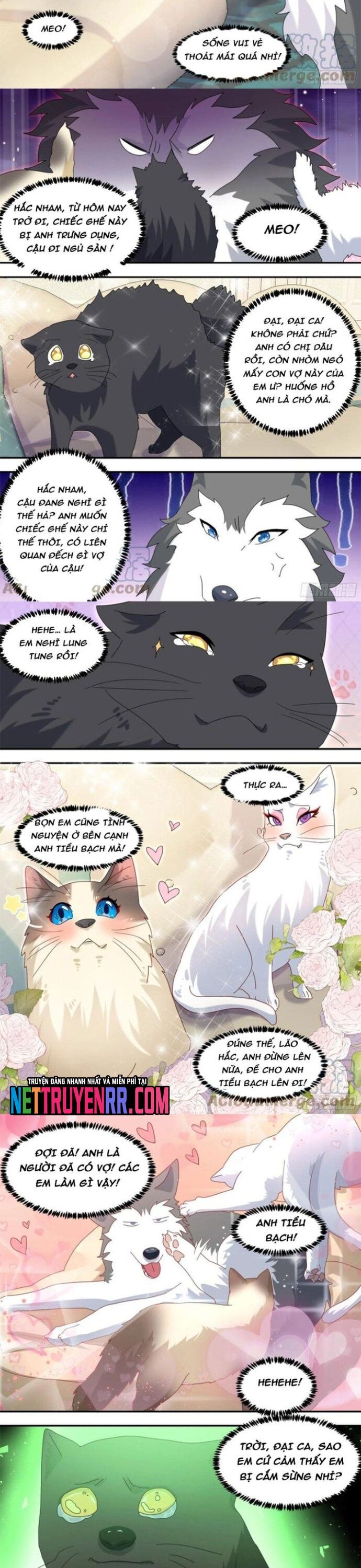 Trọng Sinh Thành Chó Của Nữ Thần - Chapter 289 - Page 3