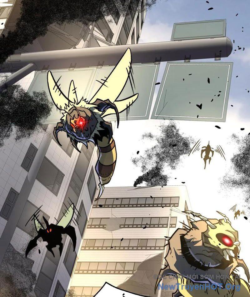 Ta Là Tai Họa Cấp Mục Sư Chapter 50 - Trang 12