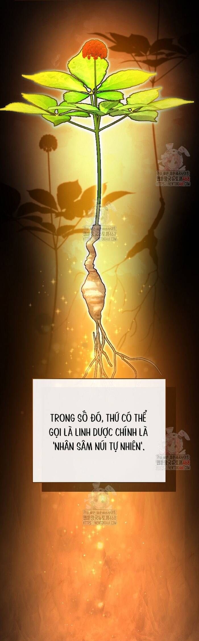 Kiếm Thánh Thiên Tài Của Học Viện			 - Chapter 13 - Page 14