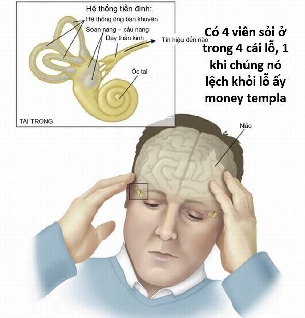 Hổ Đến Chơi Nhà - Chapter 144 - Page 73