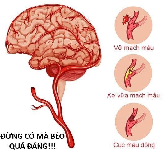 Hổ Đến Chơi Nhà - Chapter 144 - Page 75