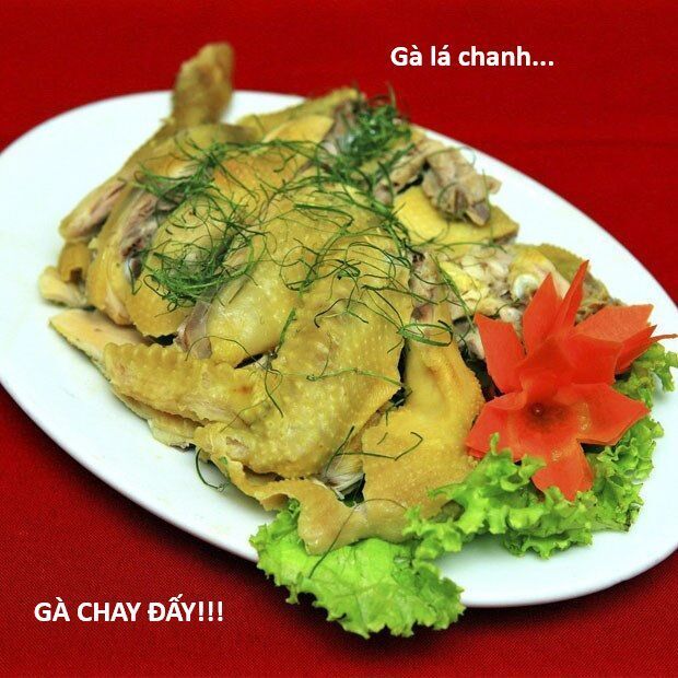 Hổ Đến Chơi Nhà - Chapter 145 - Page 30