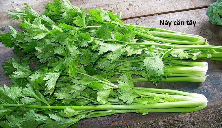 Hổ Đến Chơi Nhà - Chapter 145 - Page 31