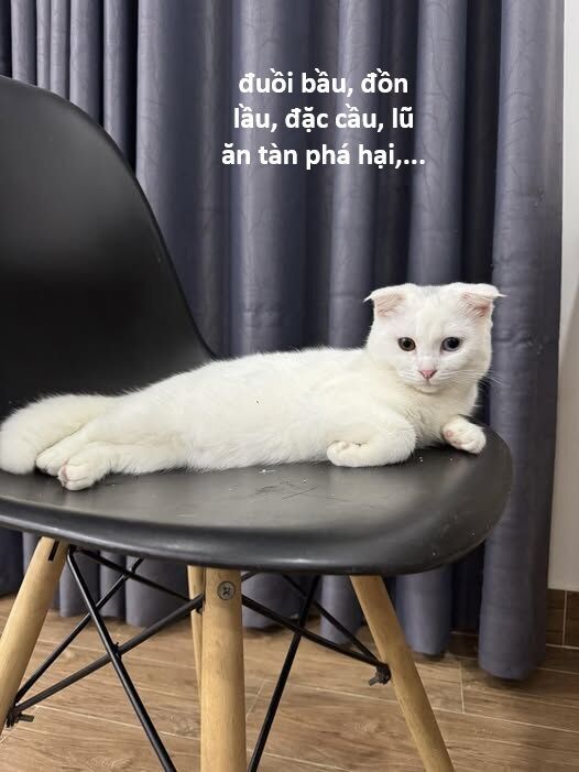 Hổ Đến Chơi Nhà - Chapter 146 - Page 93