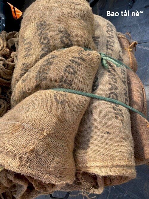 Hổ Đến Chơi Nhà - Chapter 147 - Page 134