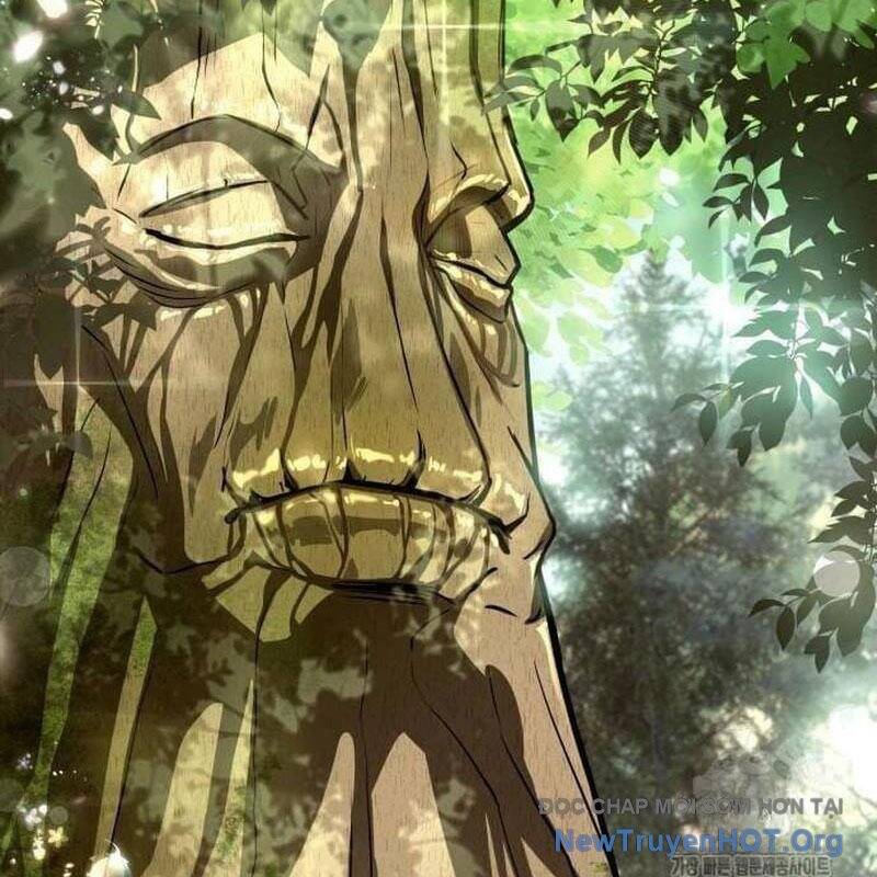 Kim Chiến Sĩ: Hành Trình Xây Dựng Đặc Tính - Chapter 47 - Page 15