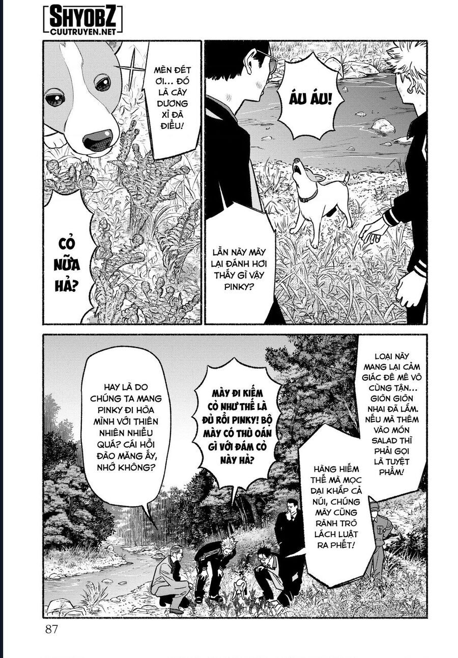 Ông chồng Yakuza nội trợ - Chapter 114 - Page 13