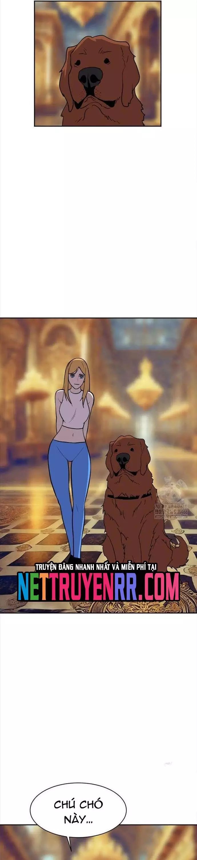 Tôi Nhặt Được Điện Thoại Từ Thế Giới Khác - Chapter 248 - Page 13