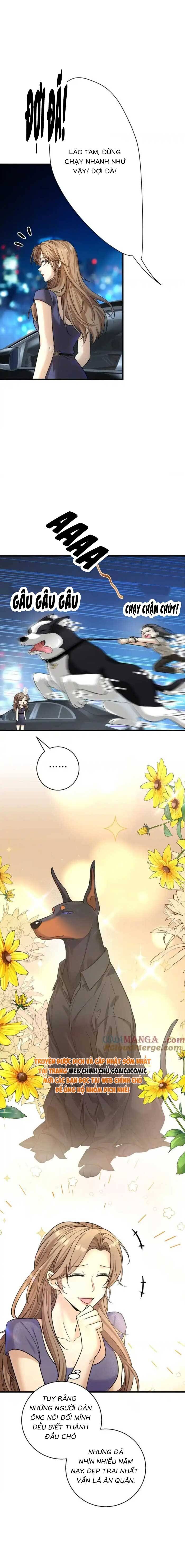 Tổng Tài Chó - Chapter 30 - Page 8