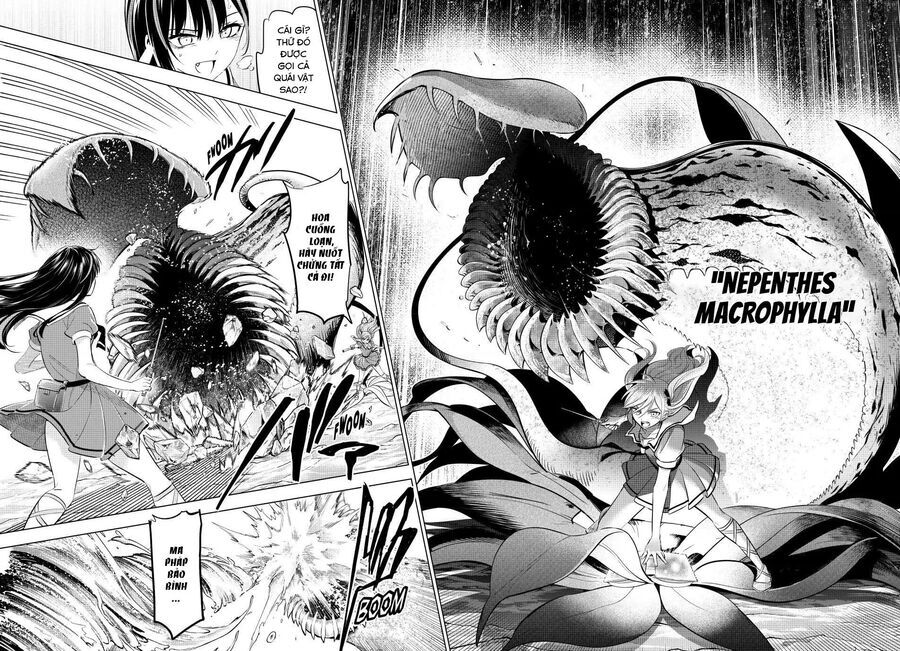 Hắc miêu và lớp học phù thủy - Chapter 55 - Page 11