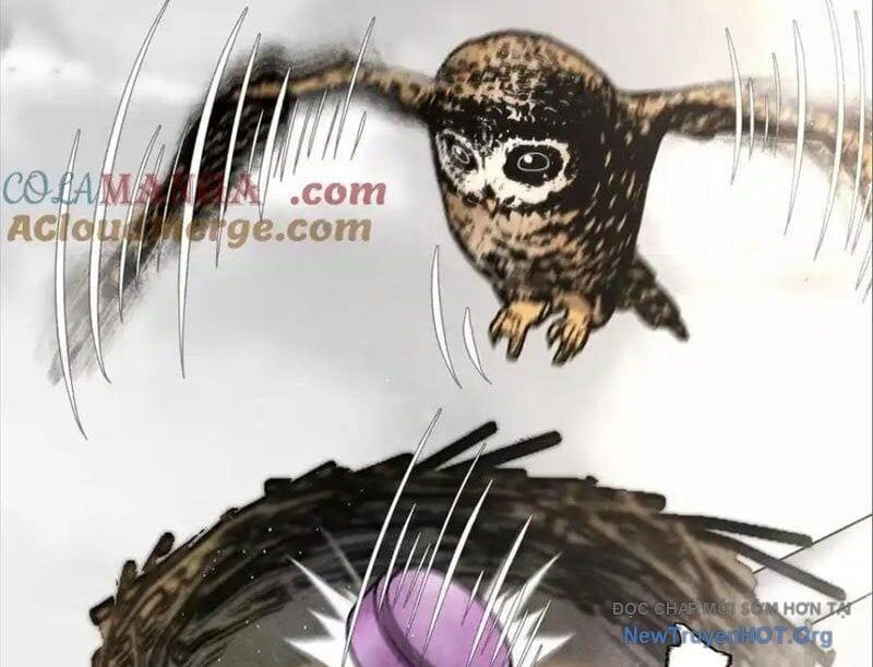 Trò Chơi Vô Vọng - Chapter 26 - Page 56