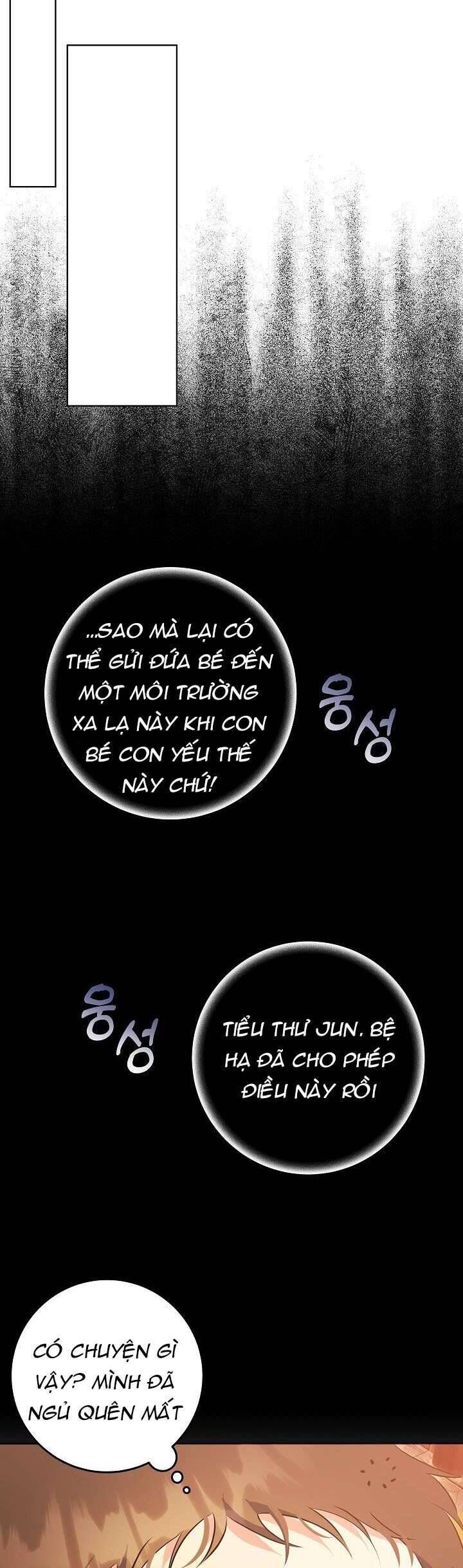 Tôi Sinh Ra Là Con Gái Của Một Thứ Phi Thấp Hèn - Chapter 1 - Page 33