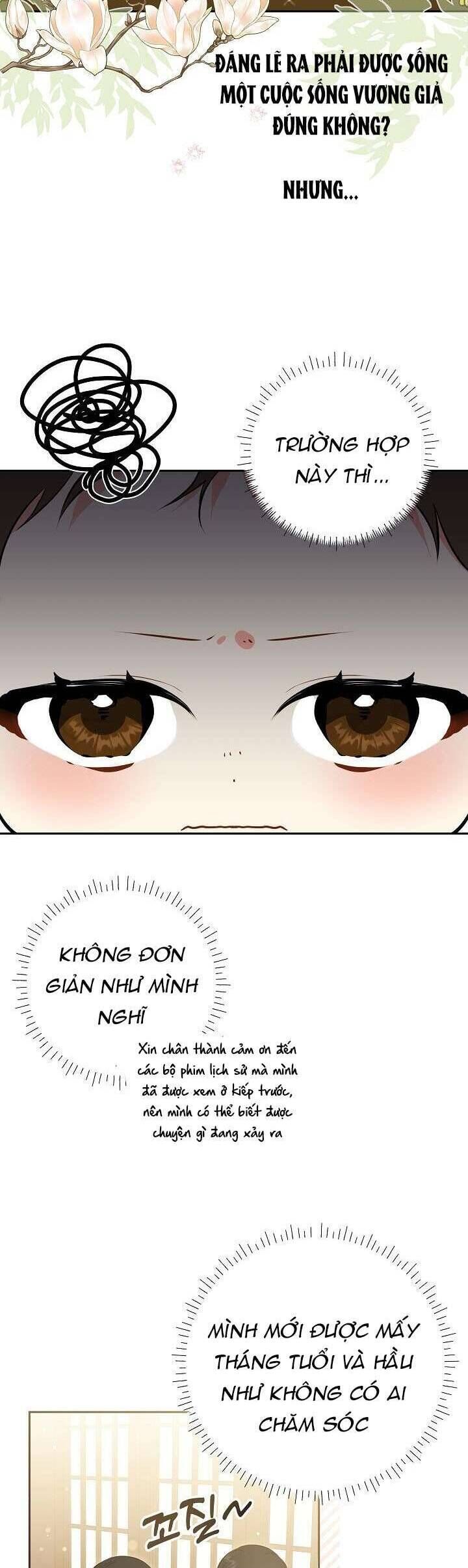 Tôi Sinh Ra Là Con Gái Của Một Thứ Phi Thấp Hèn - Chapter 1 - Page 9