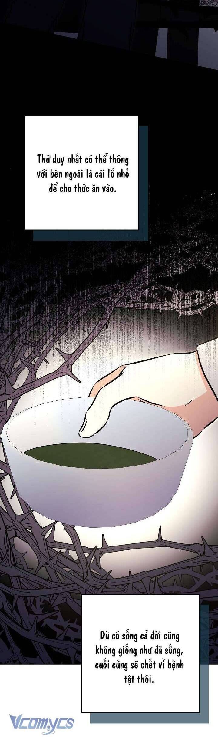 Tôi Sinh Ra Là Con Gái Của Một Thứ Phi Thấp Hèn - Chapter 37 - Page 13