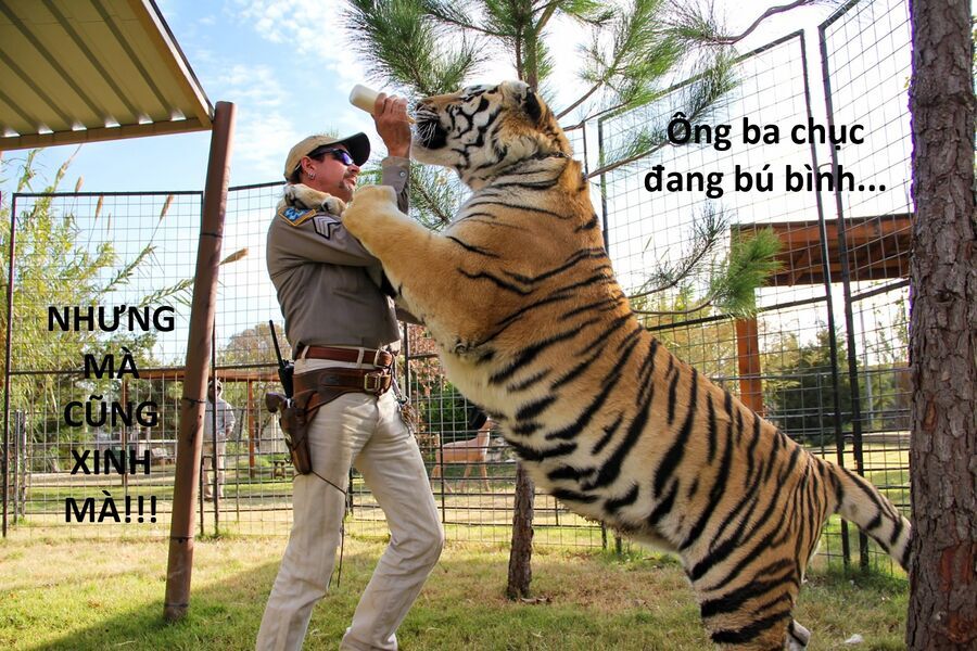 Hổ Đến Chơi Nhà - Chapter 148 - Page 47