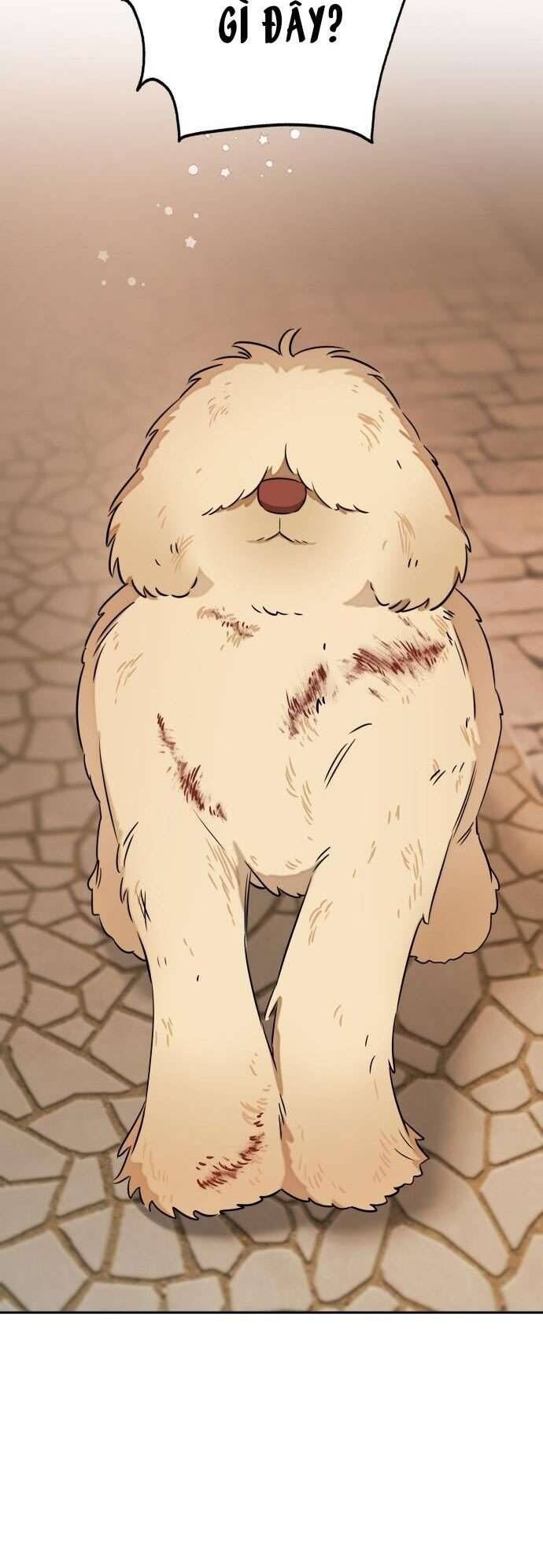Trận Đấu Đồng Đội Của Những Tài Xế Xe Tải - Chapter 17 - Page 18