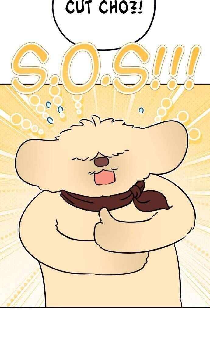 Trận Đấu Đồng Đội Của Những Tài Xế Xe Tải - Chapter 27 - Page 16