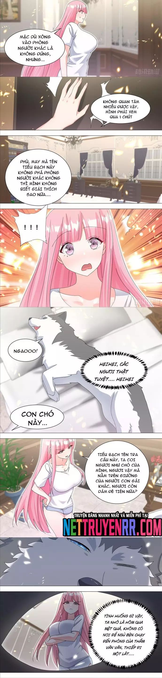 Trọng Sinh Thành Chó Của Nữ Thần - Chapter 330 - Page 3