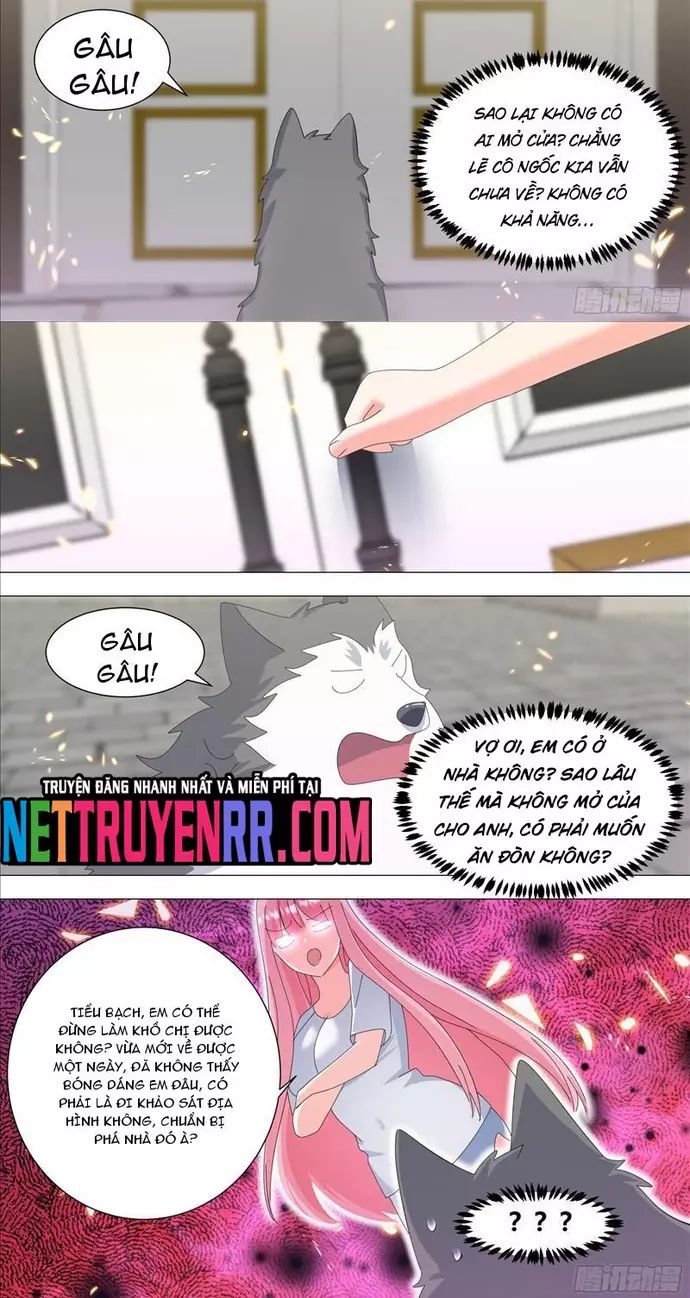 Trọng Sinh Thành Chó Của Nữ Thần - Chapter 336 - Page 5