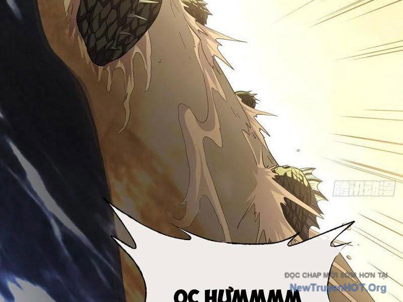 Dị Biến Giáng Lâm Nhân Gian: Triệu Hoán Chi Chủ! - Chapter 23 - Page 13