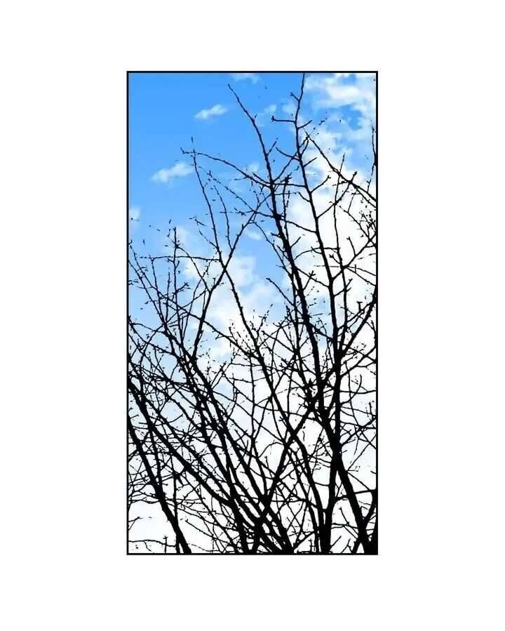 Vị Hôn Thê Khế Ước Của Công Tước - Chapter 129 - Page 4