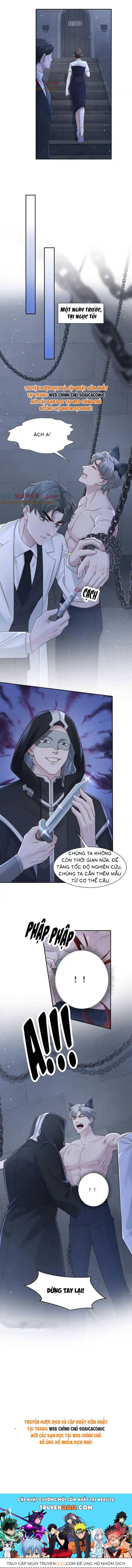 Hôn Nhân Chớp Nhoáng Với Thái Tử Tộc Sói - Chapter 44 - Page 8