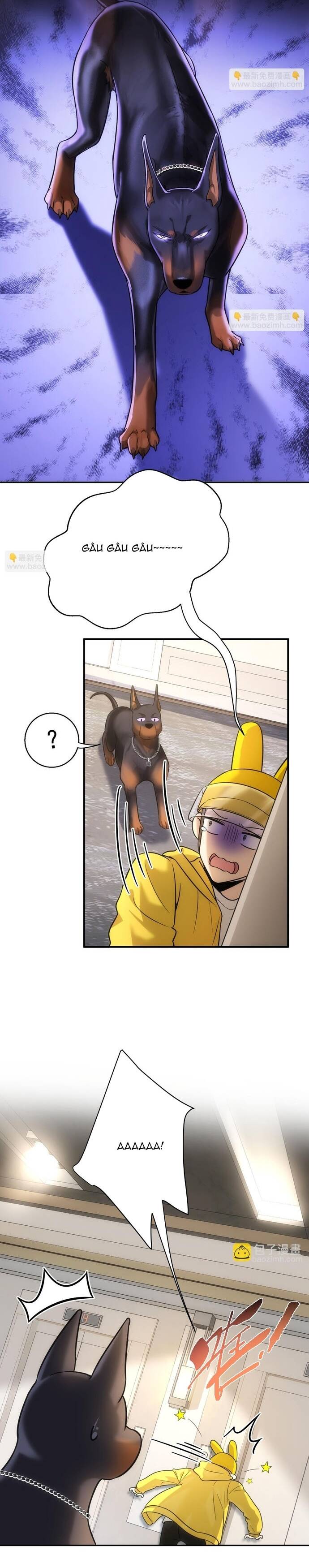 Vô Tình Kết Hôn Với Tổng Tài - Chapter 11 - Page 5