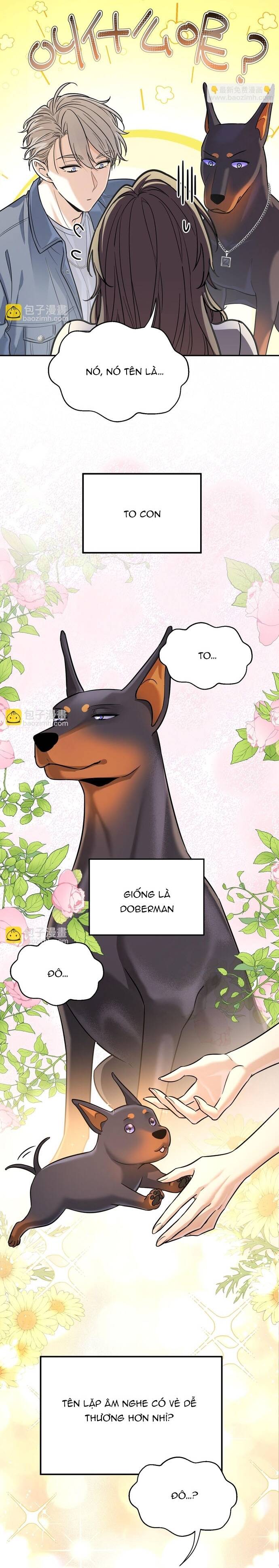 Vô Tình Kết Hôn Với Tổng Tài - Chapter 12 - Page 5