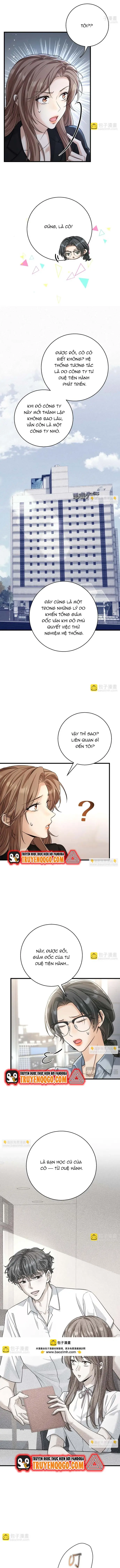 Vô Tình Kết Hôn Với Tổng Tài - Chapter 28 - Page 8