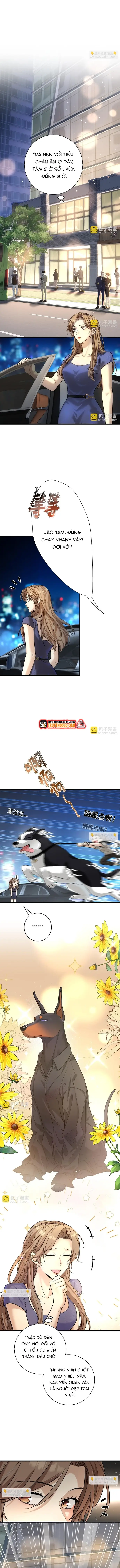 Vô Tình Kết Hôn Với Tổng Tài - Chapter 30 - Page 6