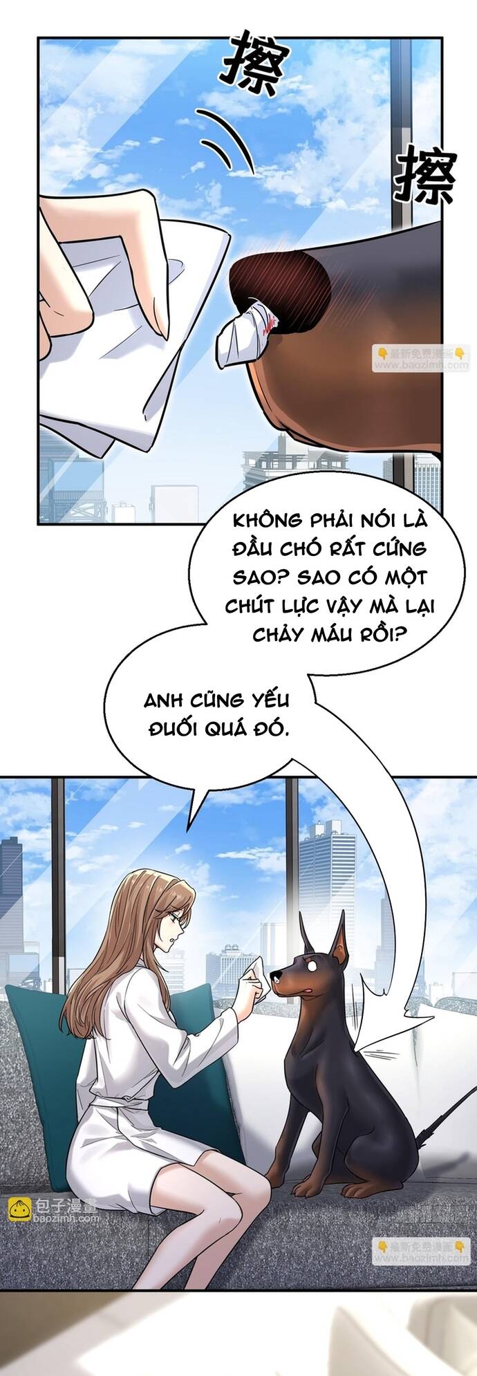 Vô Tình Kết Hôn Với Tổng Tài - Chapter 6 - Page 24