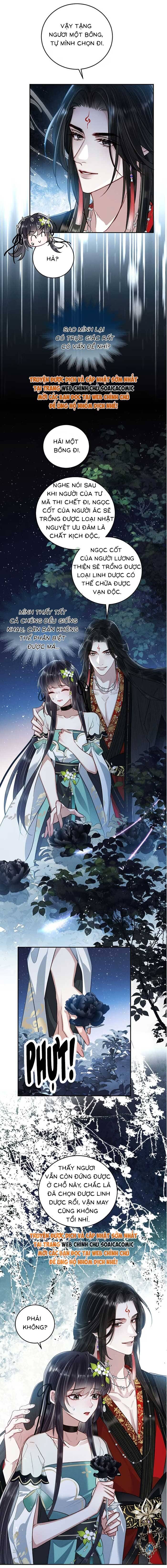 Nguyện Dâng Thân Cá Mặn Này Cho Sư Tổ - Chapter 15 - Page 7