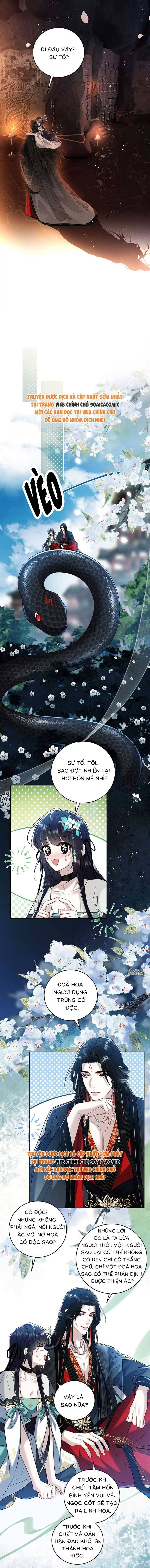 Nguyện Dâng Thân Cá Mặn Này Cho Sư Tổ - Chapter 17 - Page 3