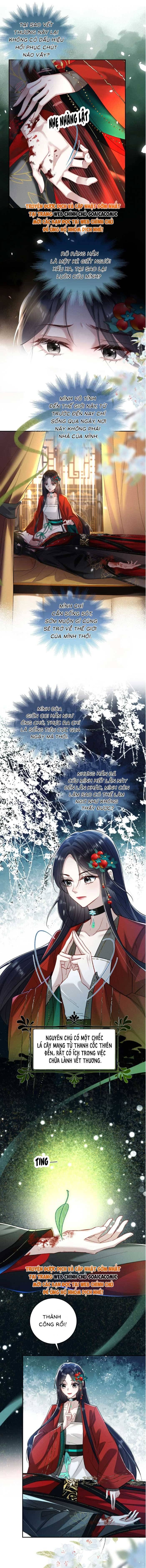 Nguyện Dâng Thân Cá Mặn Này Cho Sư Tổ - Chapter 20 - Page 5