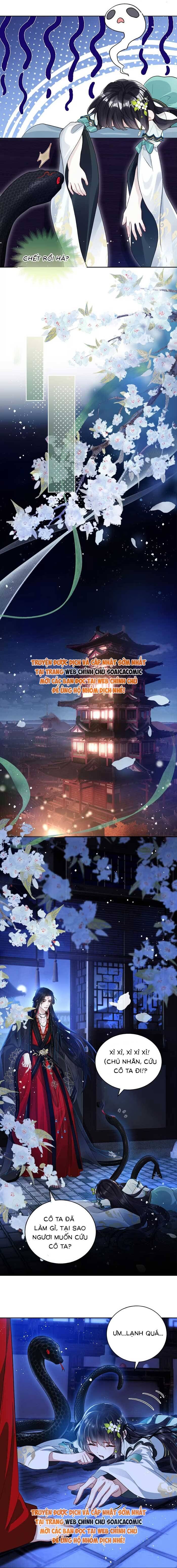 Nguyện Dâng Thân Cá Mặn Này Cho Sư Tổ - Chapter 5 - Page 5