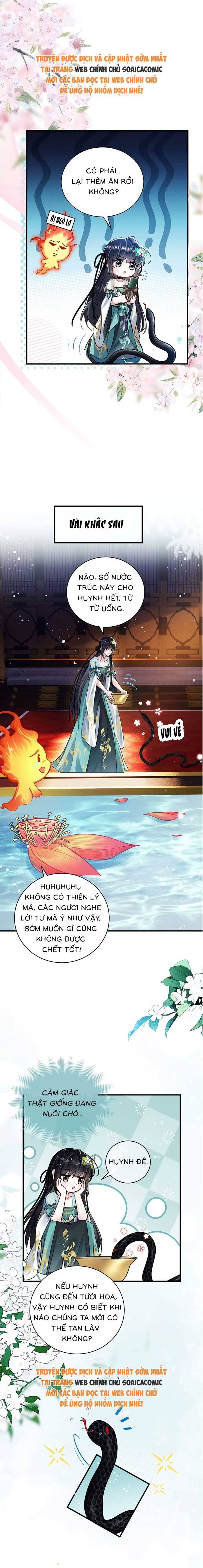 Nguyện Dâng Thân Cá Mặn Này Cho Sư Tổ - Chapter 9 - Page 3