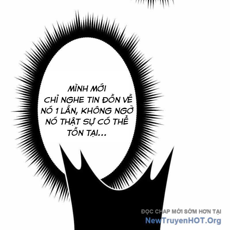 Vô Song Cùng Với Vũ Khí Ẩn - Chapter 61 - Page 3