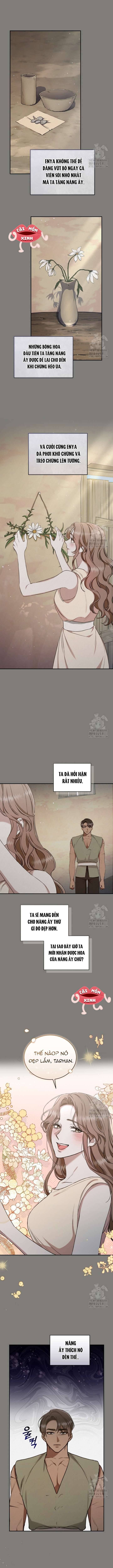 Khu Rừng Hoang Dã - Chapter 26 - Page 11