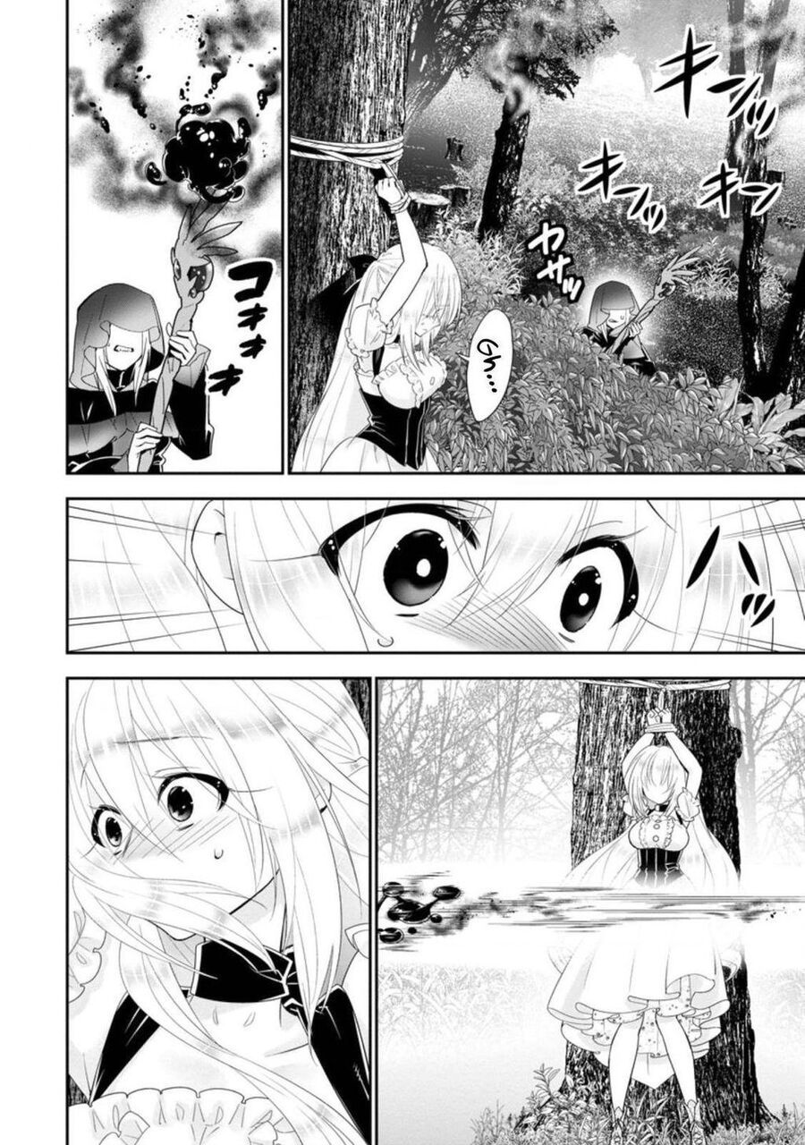 Mạo Hiểm Giả Hạng A Về Hưu Trồng Rau Nuôi Vợ - Chapter 24 - Page 22