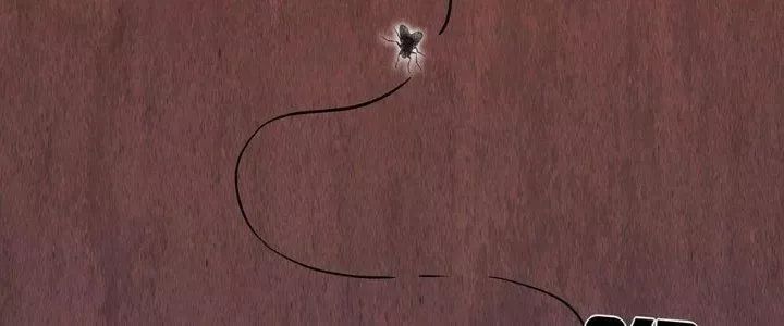 Hành Tẩu Âm Dương - Chapter 2 - Page 228