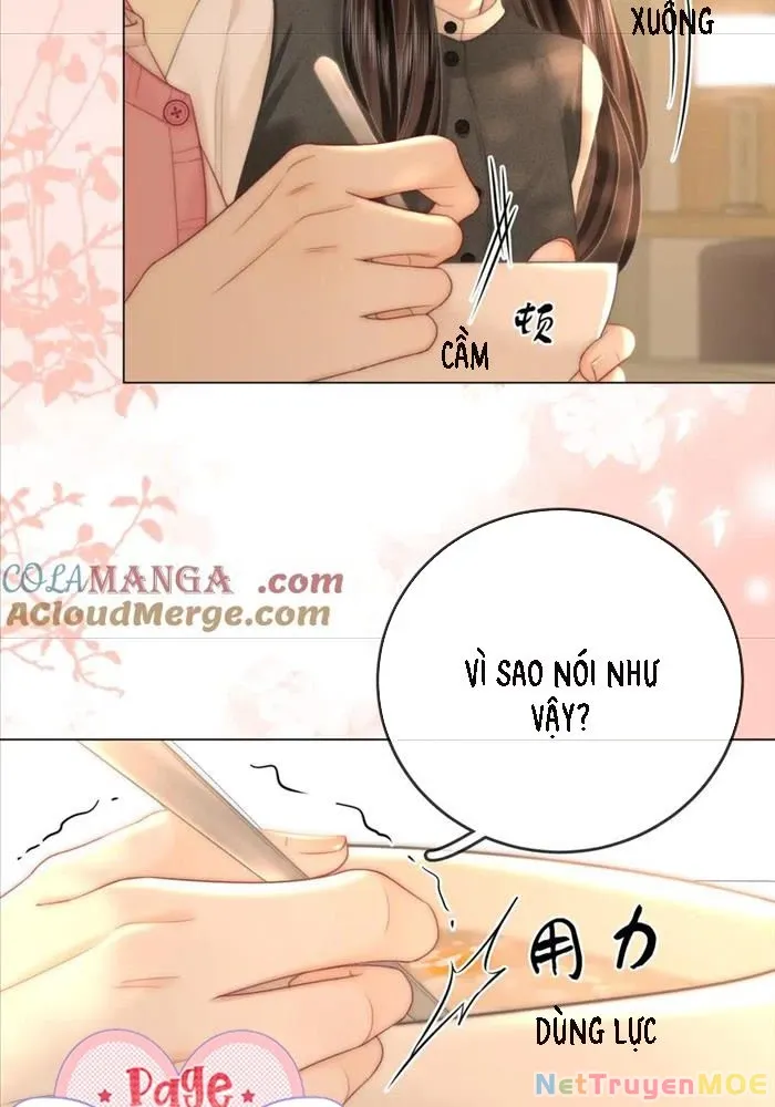 Em Chỉ Có Thể Là Của Tôi - Chapter 130 - Page 15