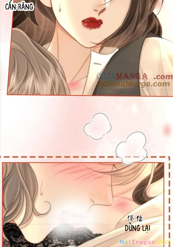 Em Chỉ Có Thể Là Của Tôi - Chapter 130 - Page 40